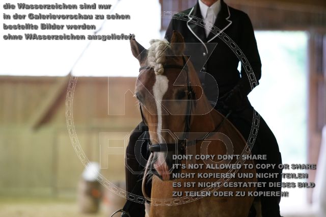 s_K3F06841.JPG